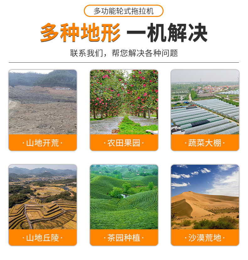 详情_05.jpg